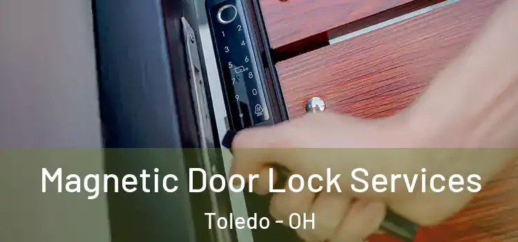 Magnetic Door Lock Services Toledo - OH